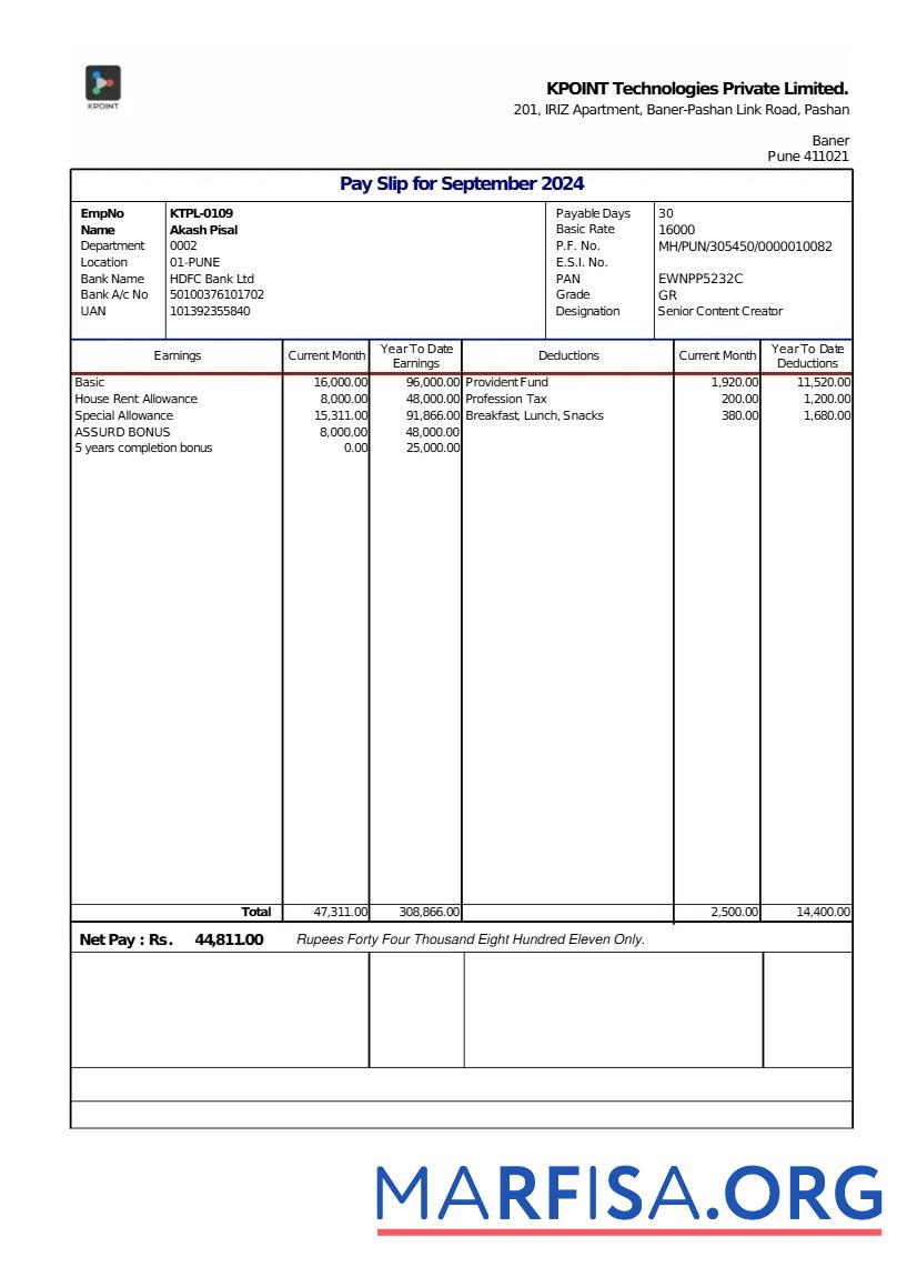 Blank Kpoint Technologies payslip download for verification
